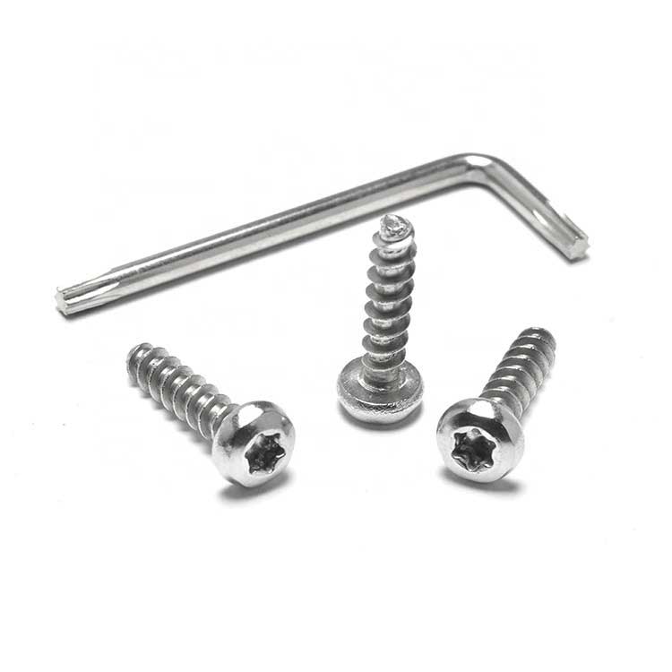 Stainless Steel or Zinc Plated  Pan Torx Head Thread Forming Self Tapping Screw for Plastic