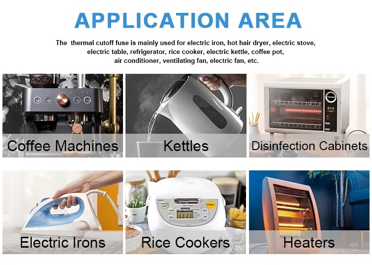 RH RY RF Ceramic Thermal Cutoff Fuse 10A 15A 20A 250V Temperature Switch for Rice Cooker Refrigerator Fan Dryer