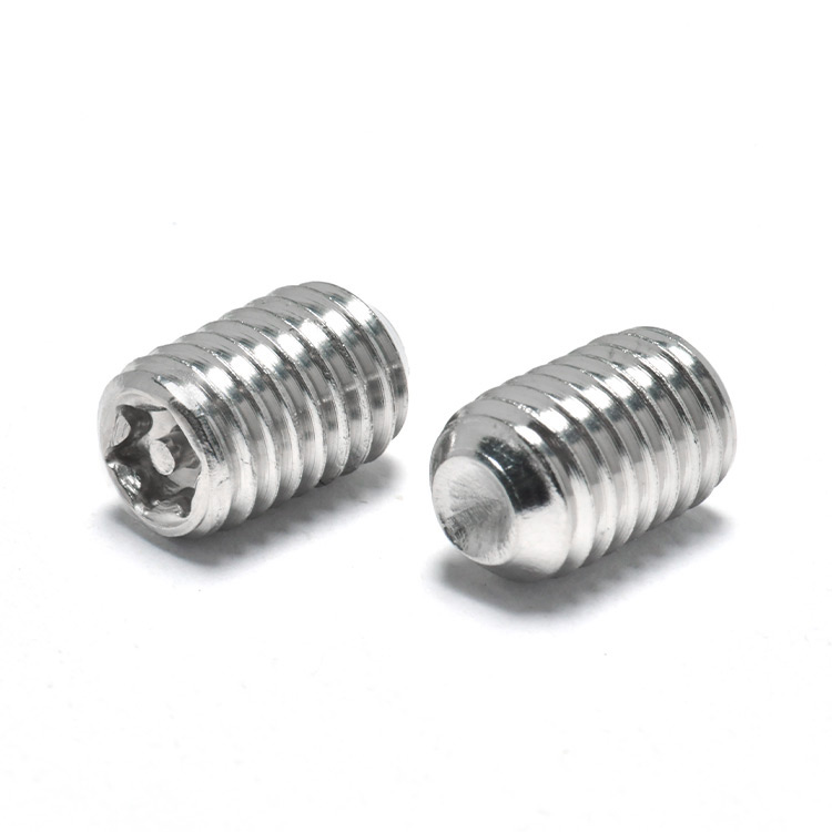 Anti Rust Stainless Steel M3 M4 M5 M6 Torx Pin Cup Point Grub Screws