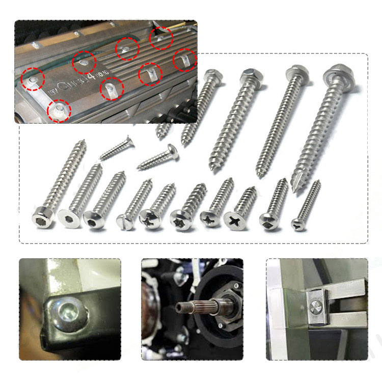 China Factory SS304 316 Fastener for License Plates Security Anti-theft Screw
