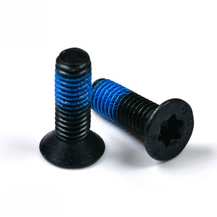 GB2673 ISO14581 SS304 SS316 A2 A4 Stainless Steel Torx Flat CSK Countersunk Head Machine Security Screws