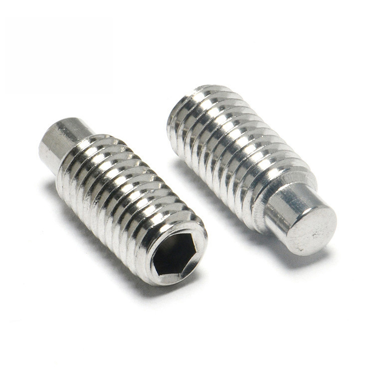Professional Manufacturer Stainless Steel Dog Point Hexagon Socket Set Screws