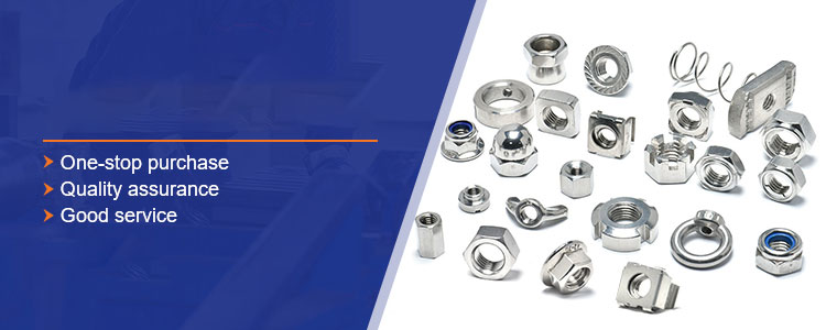 Stainless Steel SS 304 DIN980M Bolt Screw Insert Hexagon Lock Nuts