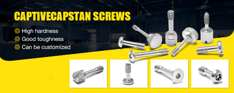 Supply Socket Screws DIN912 DIN7984 DIN7991 ISO7380 Socket Head Screw