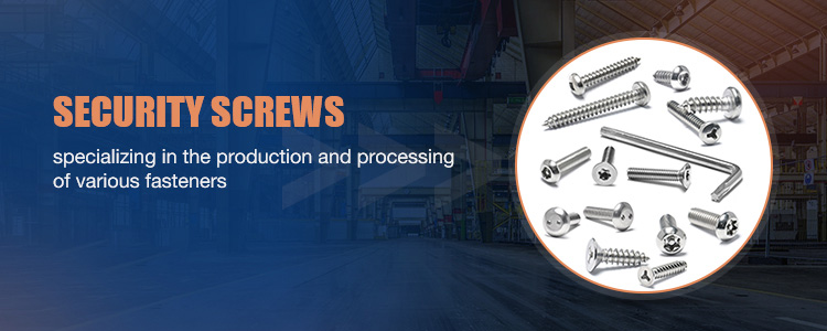 China Factory SS304 316 Fastener for License Plates Security Anti-theft Screw