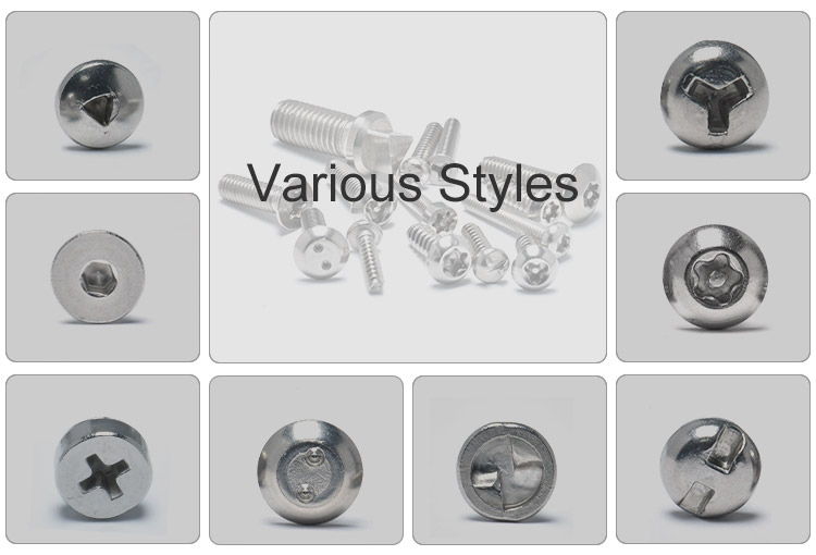 China Factory SS304 316 Fastener for License Plates Security Anti-theft Screw