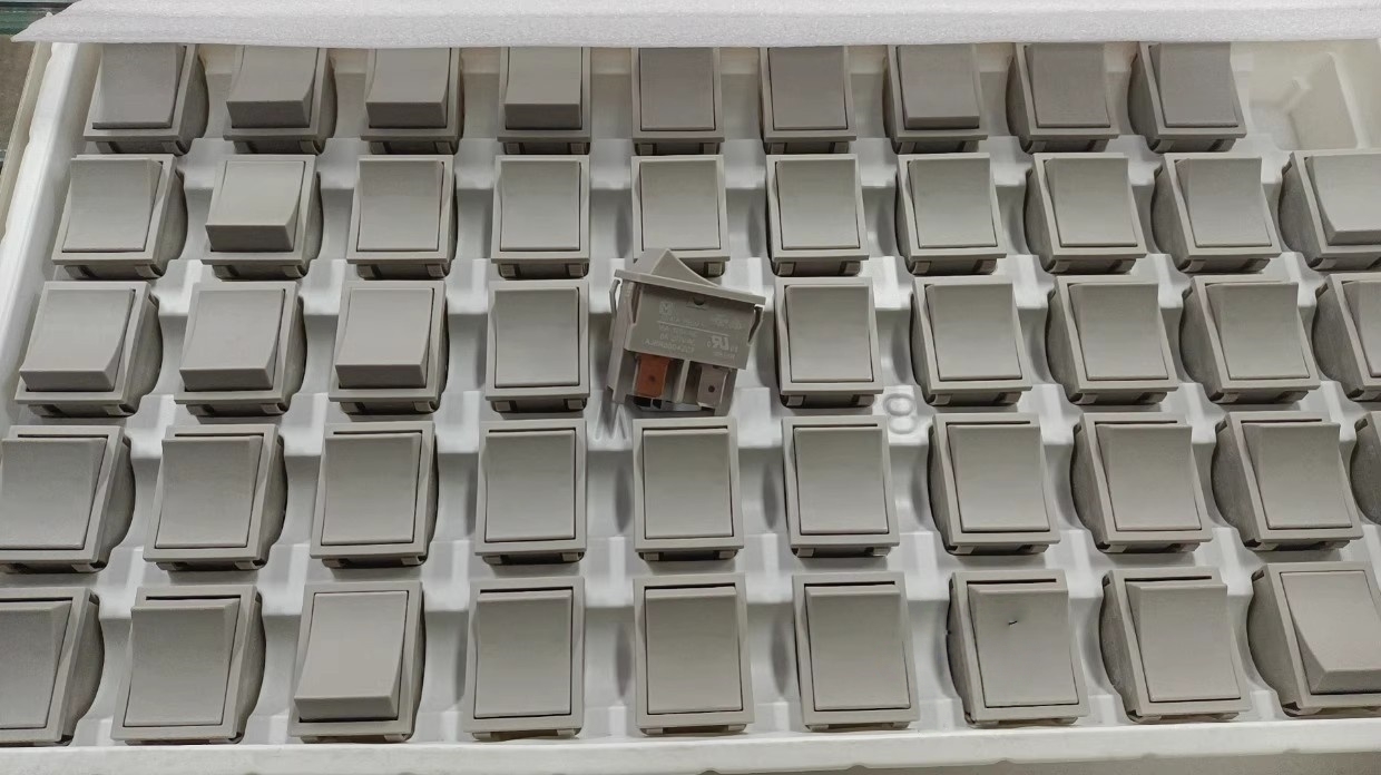 Panasonic AJ8R2004ZCF boar-shaped ROCKER SWITCH from Japan, with two Settings